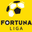 Slovak Super Liga